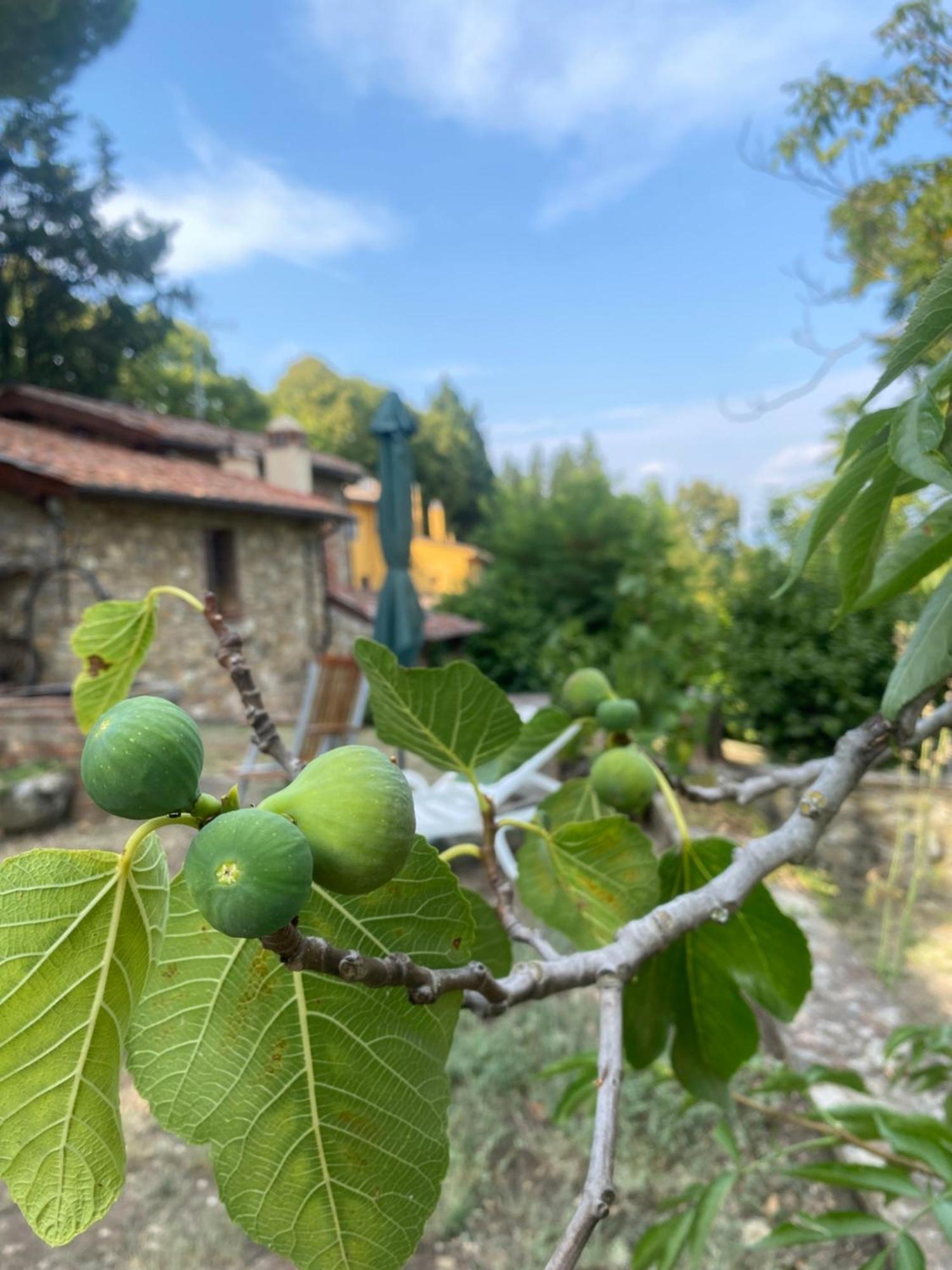 Berenice In Chianti * Bagno a Ripoli