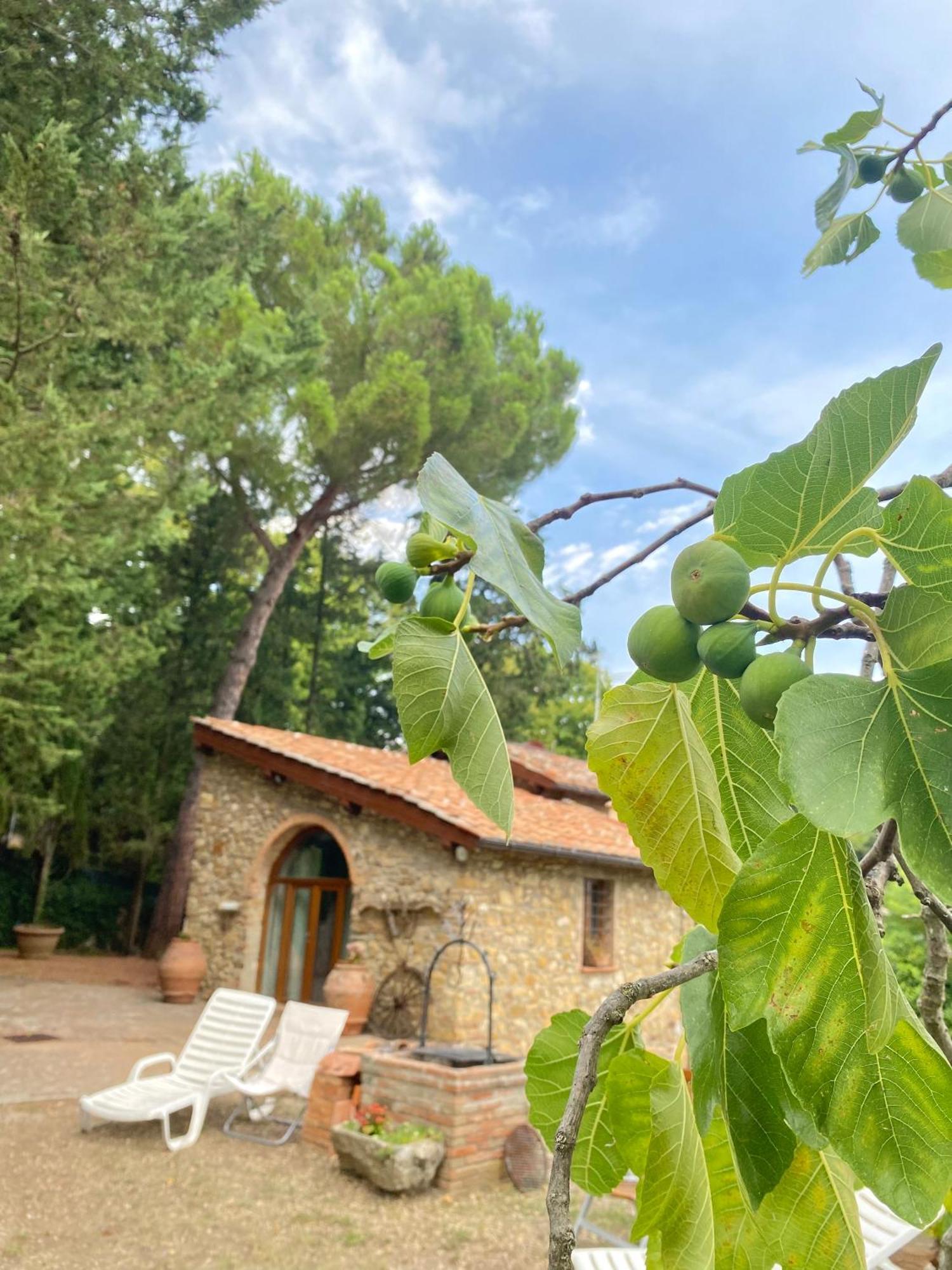 Berenice In Chianti Country house *