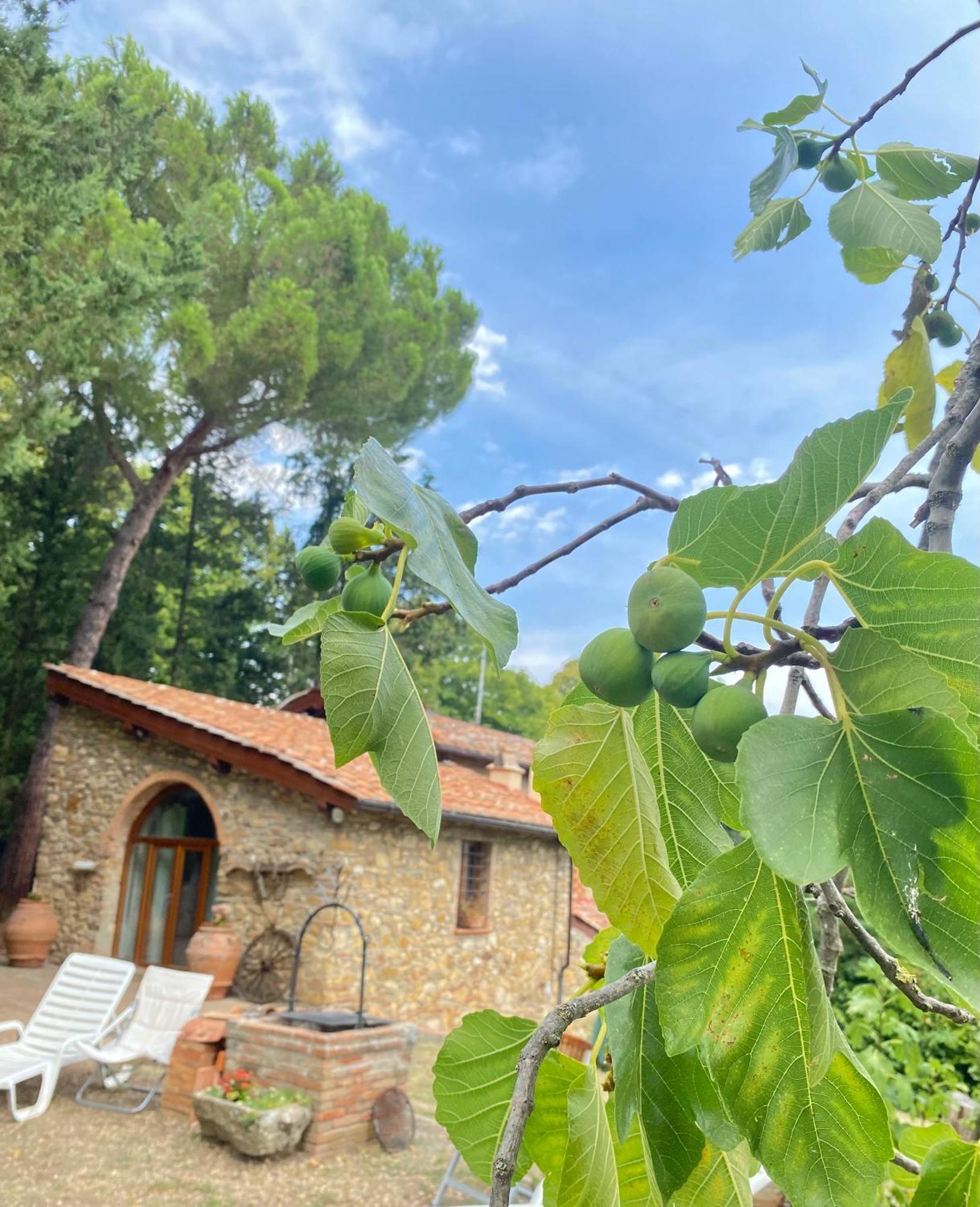 Berenice In Chianti * Bagno A Ripoli