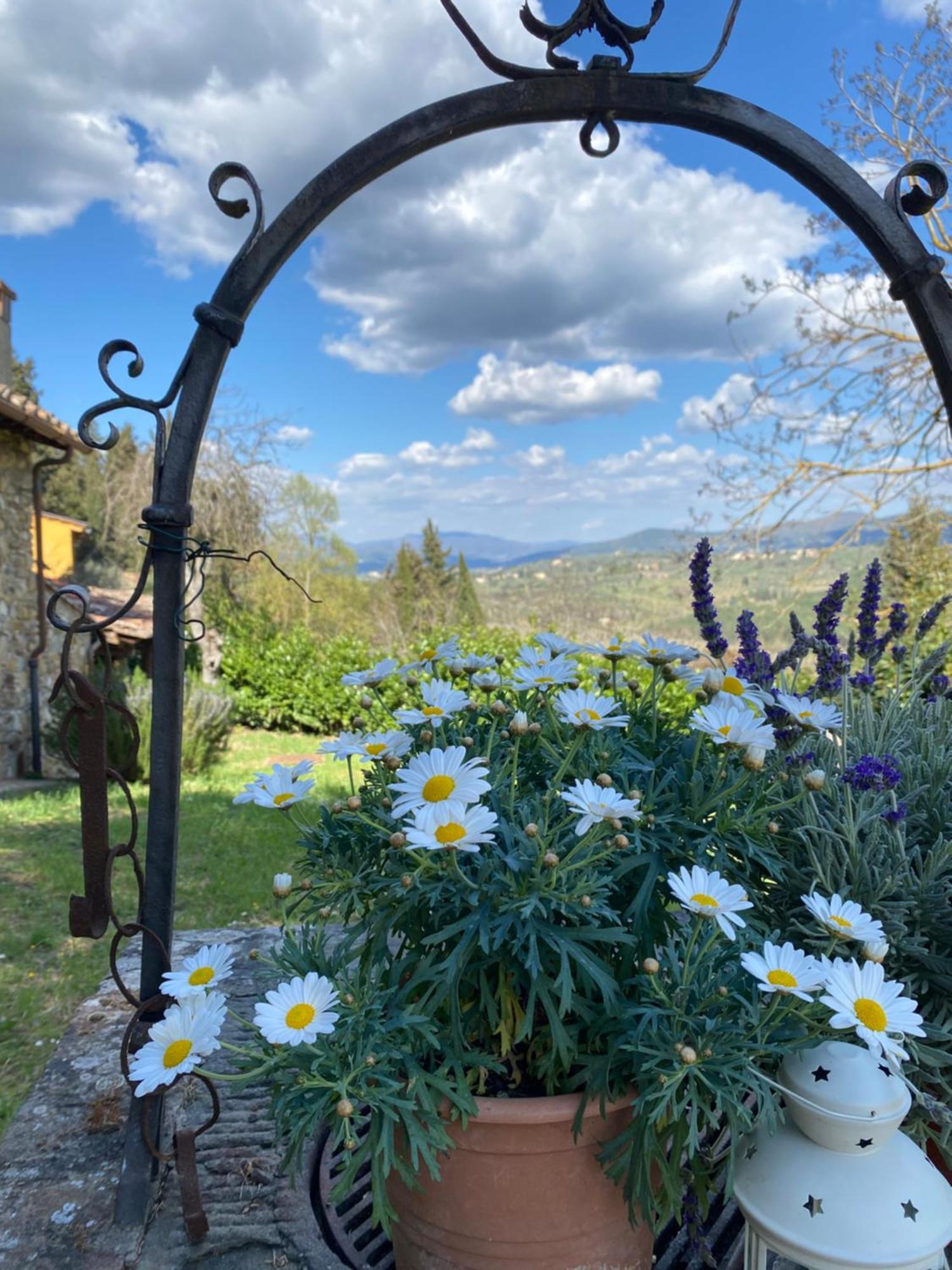 Berenice In Chianti Country house Bagno A Ripoli